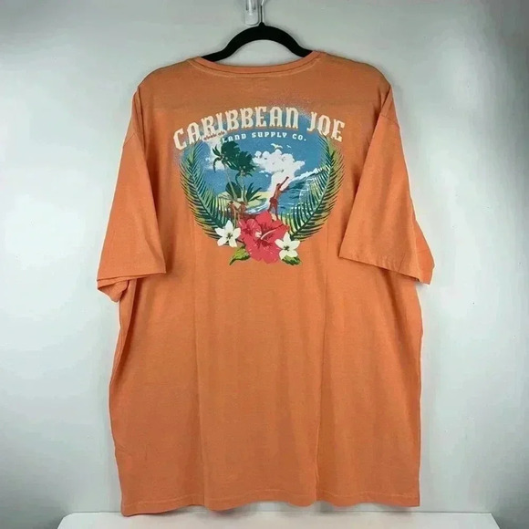 CARIBBEAN JOE CORAL SZ L COTTON/SPANDEX NWT WITH GRAPHIC SOFT SHORT SLEEVES - Picture 4 of 5